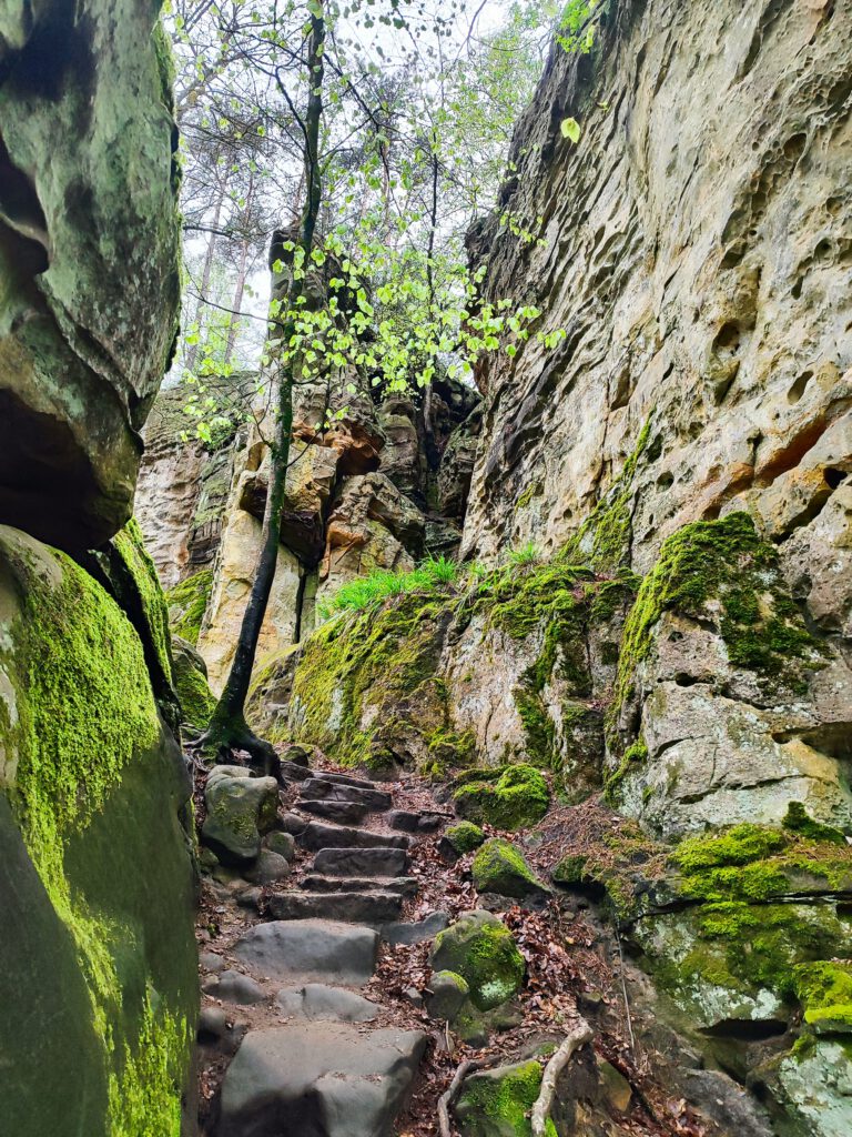 Unterstützung nach Krebs Frechen
